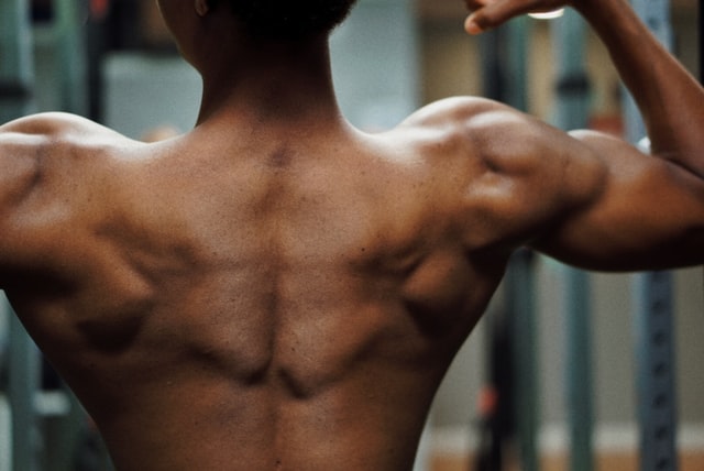 肩の筋トレで鍛えるべき筋肉