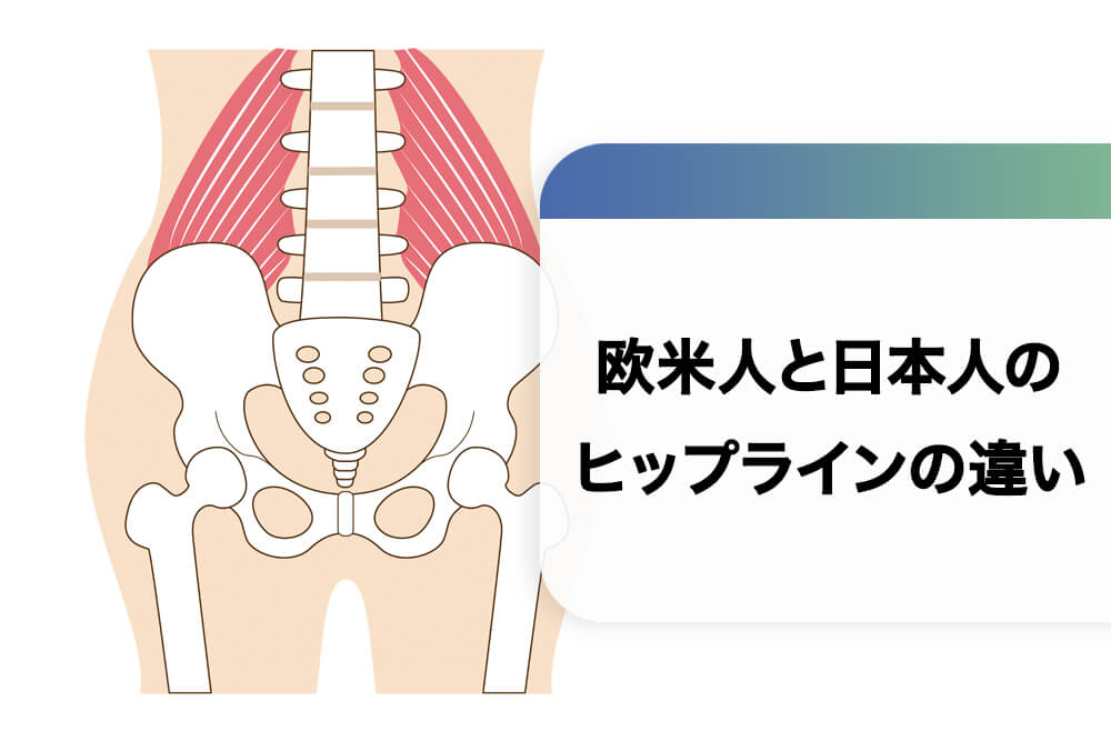 欧米人と日本人のヒップラインの違い