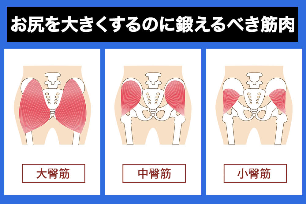 お尻を大きくするのに鍛えるべき筋肉