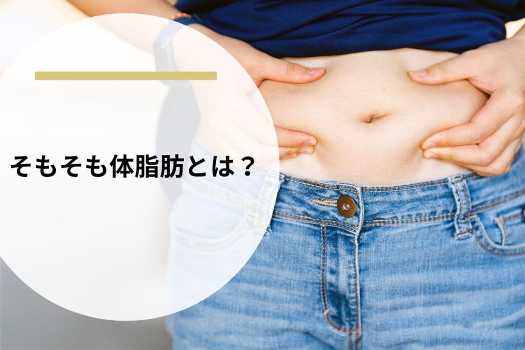 そもそも体脂肪とは?