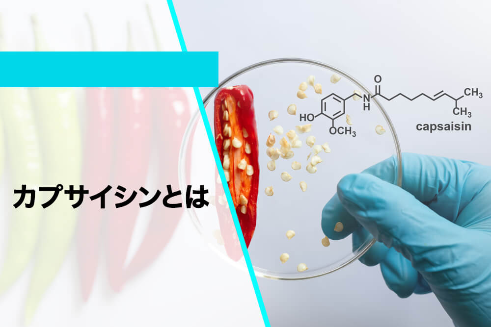 カプサイシンとは