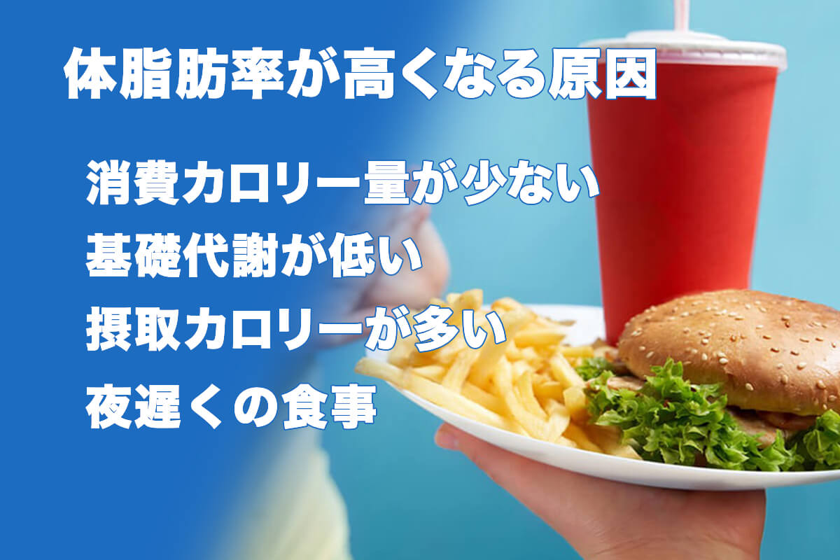 体脂肪率が高くなる原因