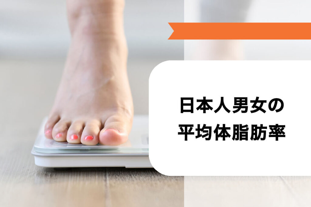 日本人男女の平均体脂肪率
