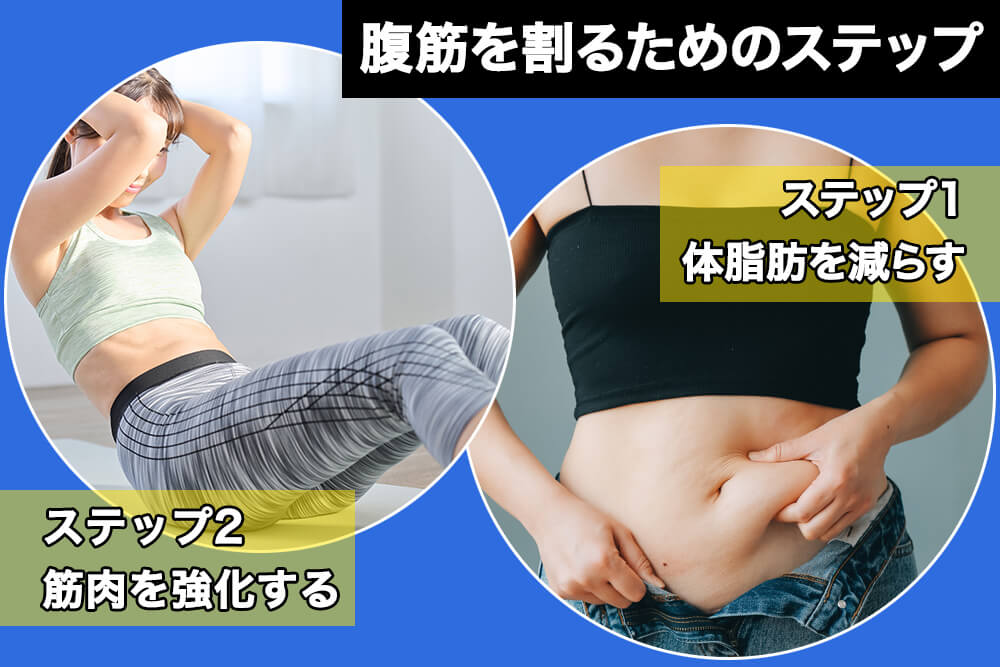 腹筋を割るためのステップ