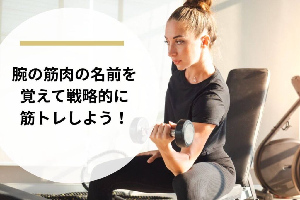 腕の筋肉の名前を覚えて戦略的に筋トレしよう！