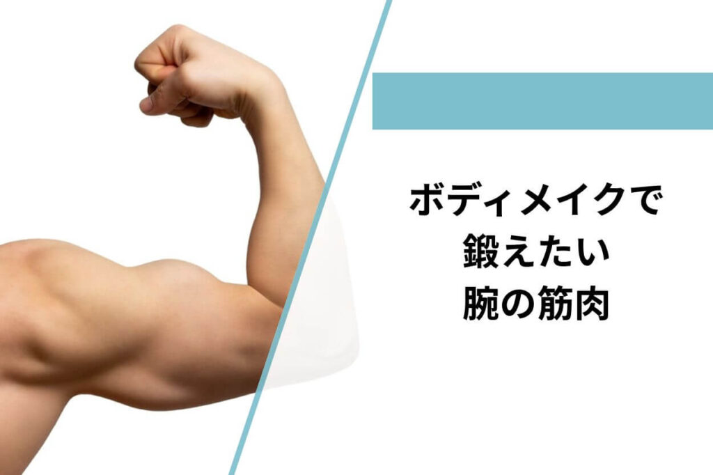 ボディメイクで鍛えたい腕の筋肉3選