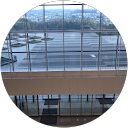 daino yonezawa daino yonezawa