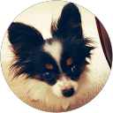 yosimi fujii yosimi fujii