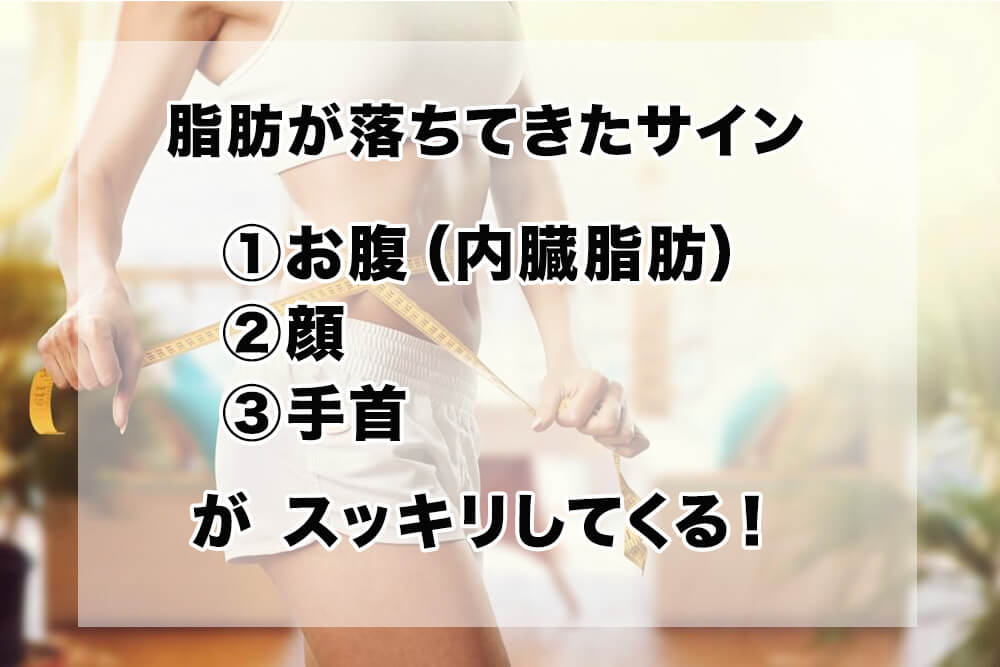 脂肪が落ちてきたサイン
