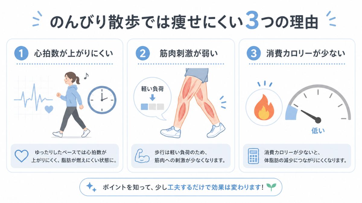 だらだら散歩で痩せにくい理由として、心拍数の低さ、筋肉刺激の弱さ、消費量の少なさを整理した図解